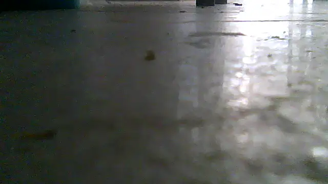 SirFrankonde webcam