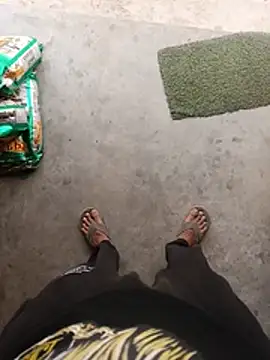 Desindianbull69 webcam