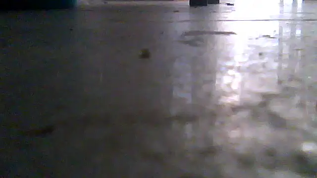 SirFrankonde webcam