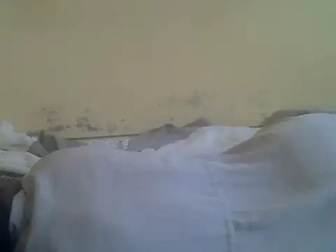 cute-shamza live cam on StripChat