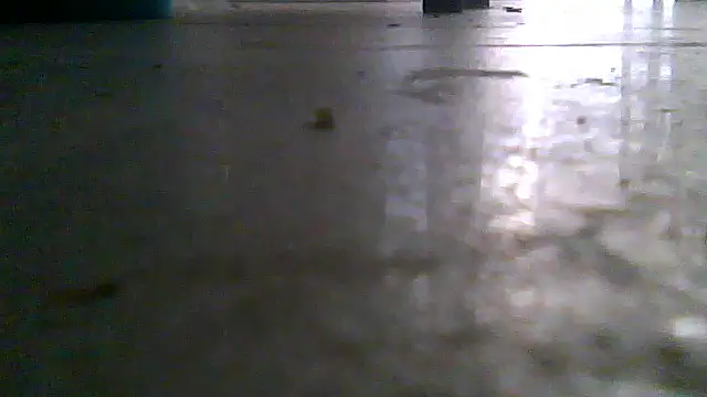 SirFrankonde webcam