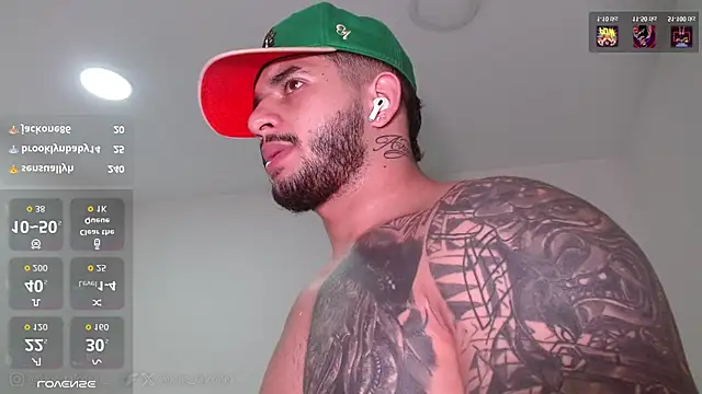 king_falconer live webcam show