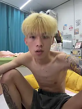 KPL-11 live webcam show