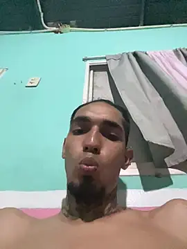 Stiward_newman webcam