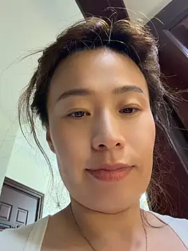 h-139431 webcam