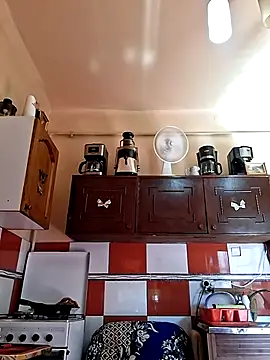SexyNicool36 webcam