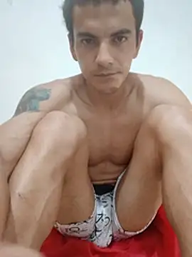 Heartsarm webcam