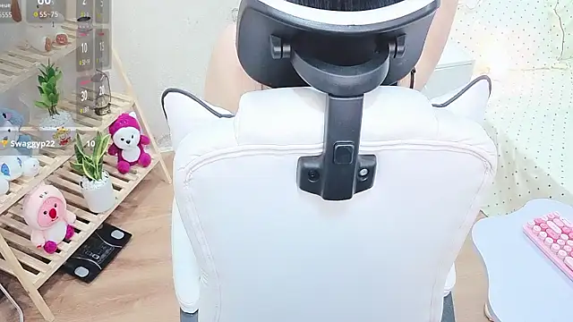 lrykknana webcam