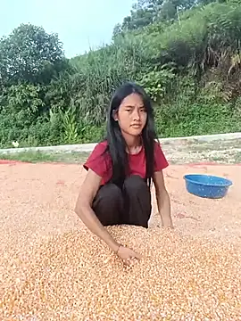Hoa-tuylip