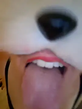 SPrITZMAUS