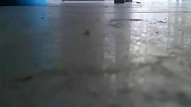 SirFrankonde webcam