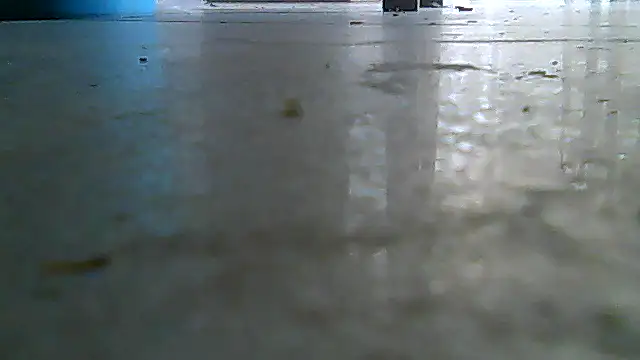 SirFrankonde webcam