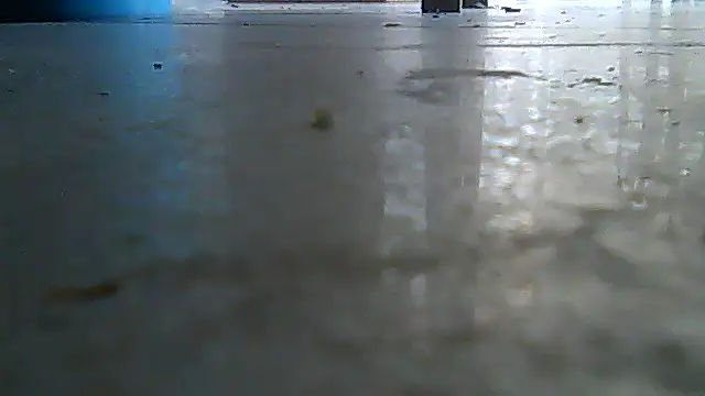 SirFrankonde webcam