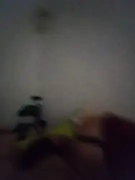 TuCanero23cm webcam
