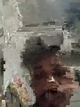 sharvan___13 webcam