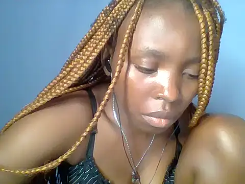 Chocolate-brownie webcam