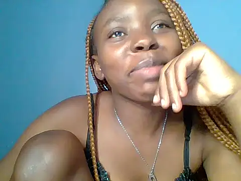 Chocolate-brownie webcam