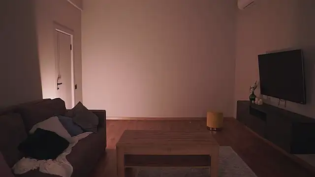 AdaBell webcam