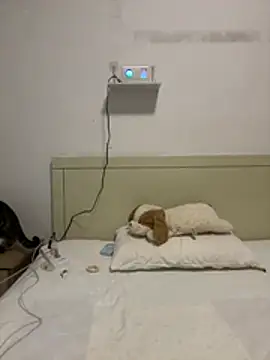 CCUU-CC webcam