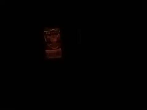 Blkstylion webcam