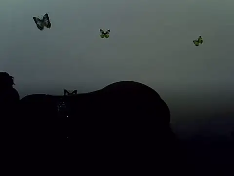 berrynova webcam