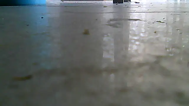 SirFrankonde webcam