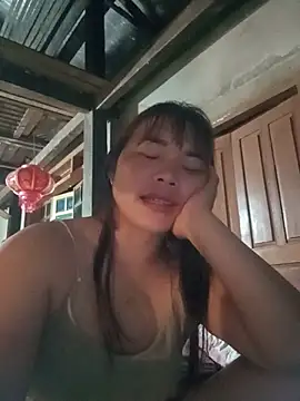 -Nibi- webcam