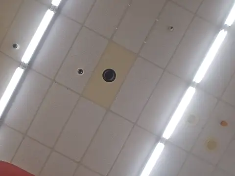 UncutHammer69 webcam