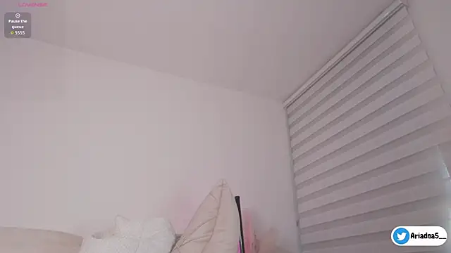 Ariadna5 webcam