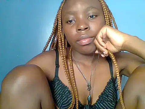 Chocolate-brownie webcam