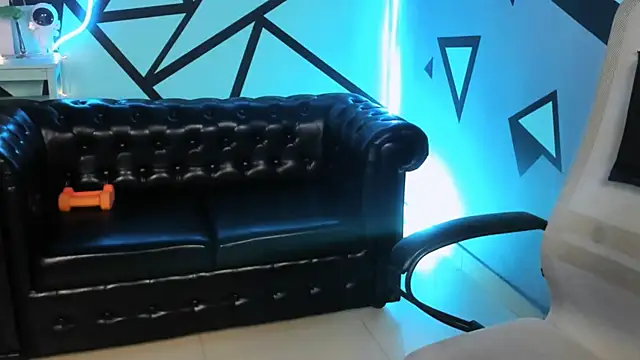 LidaDarknet webcam