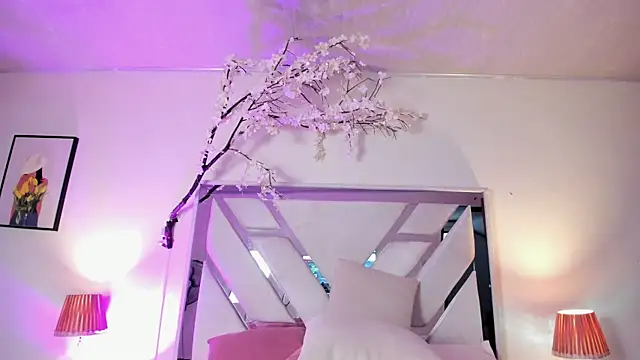 Francis_lumiere webcam