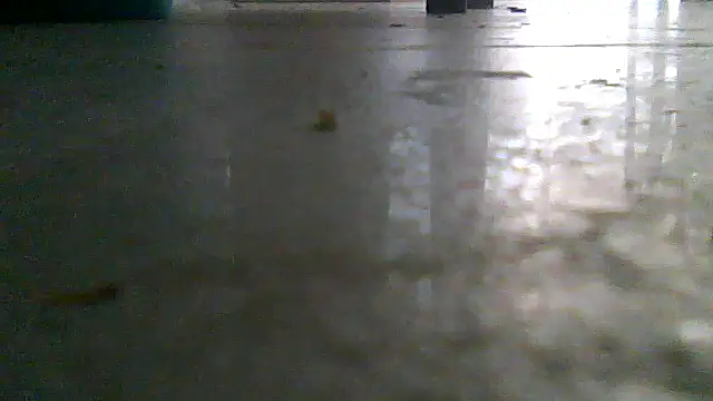 SirFrankonde webcam