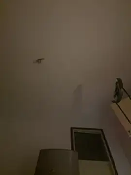 crisfootlicker live cam