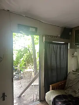 Silusgrai