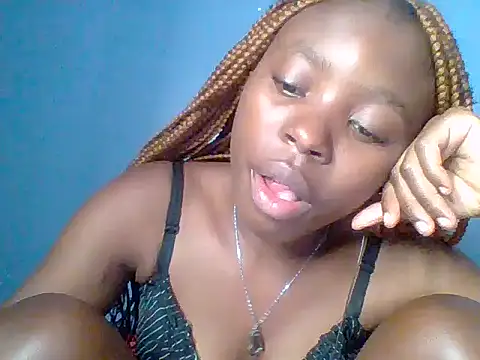 Chocolate-brownie webcam