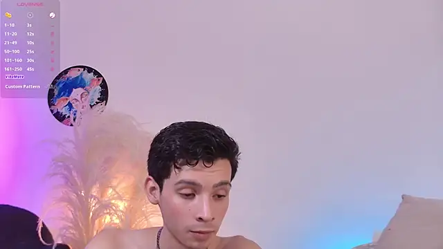 VicenteFerrer webcam