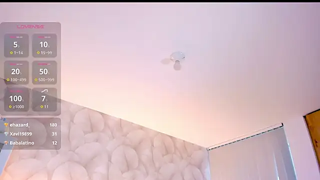 NOVACY-SANTOS webcam