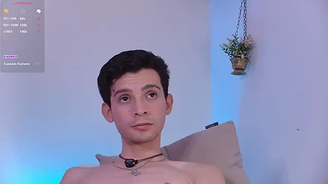 VicenteFerrer webcam