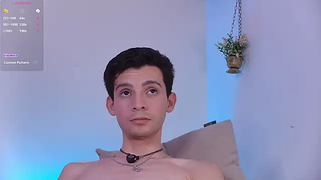 VicenteFerrer webcam