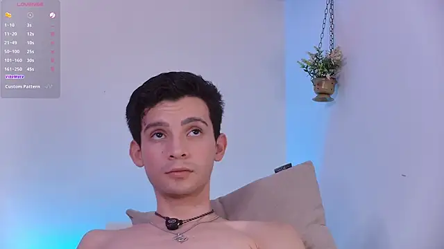 VicenteFerrer webcam