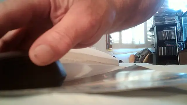 jumpingtomflash webcam