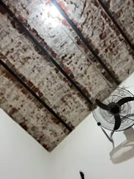 alicetgirlbr webcam