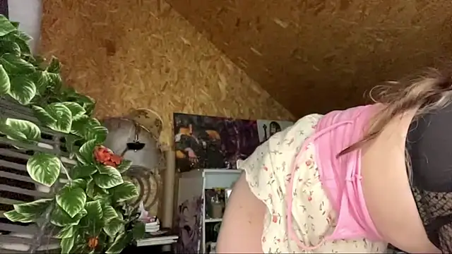 HeidiTian webcam