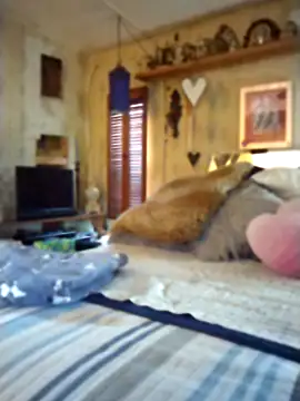 fischnet webcam