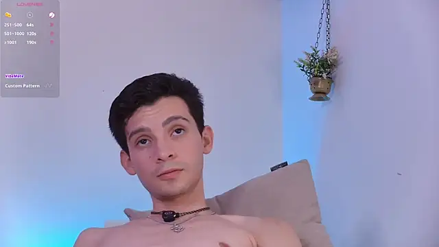 VicenteFerrer webcam