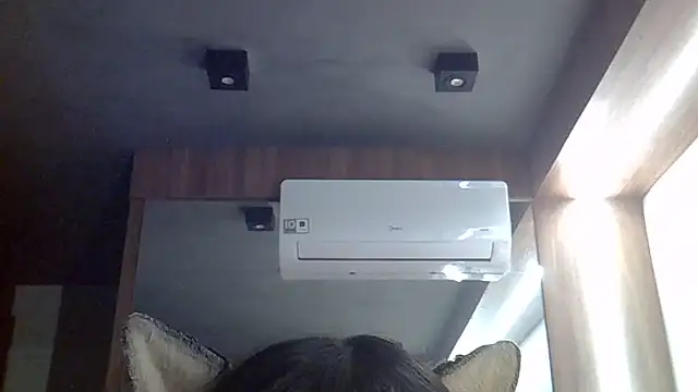 SkinnyKitten live cam