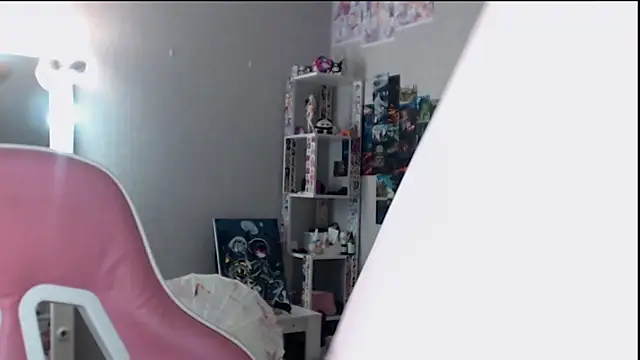 lilidip webcam