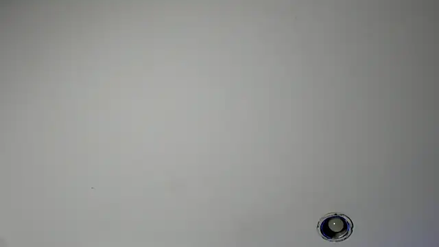 DenzelRios