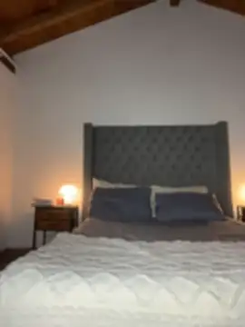 RouseColins live cam